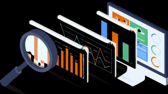 data insight services