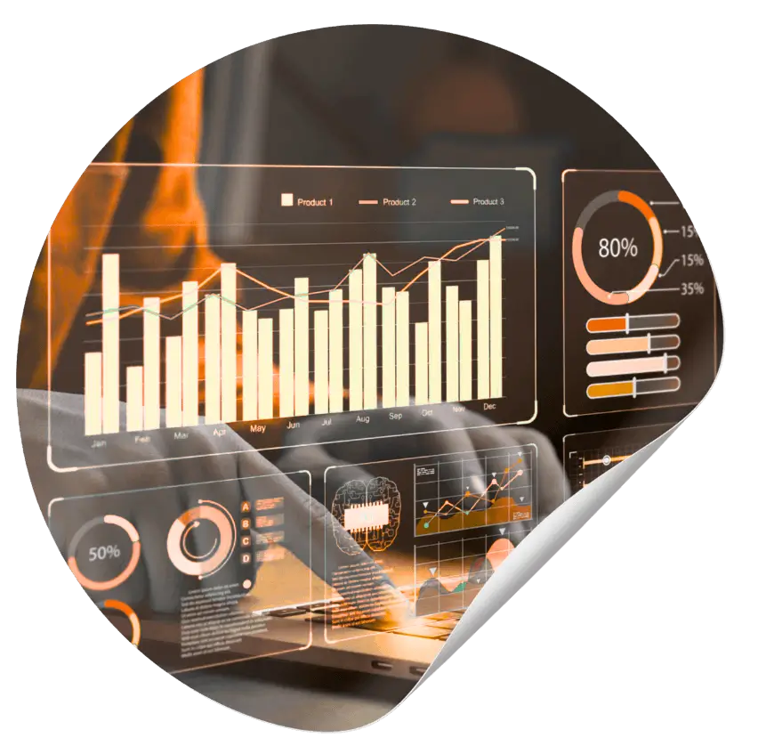 data insight services